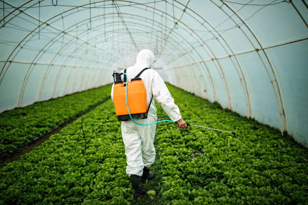 Best Pest Inspection Near Me  in Vernon Hls, IL