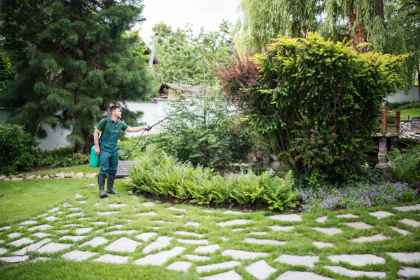 Pest Prevention Services in Vernon Hills, IL