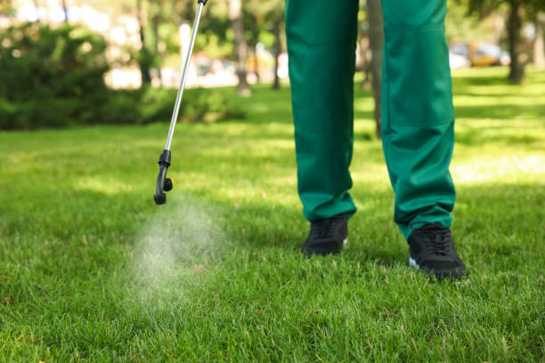 Best Wildlife Control Services  in Vernon Hls, IL