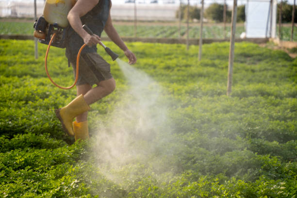 Pest Control for Restaurants in Vernon Hills, IL