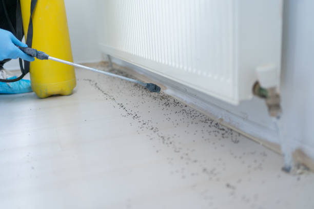 Best Mosquito Control Services  in Vernon Hls, IL
